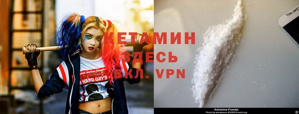 индика Осташков