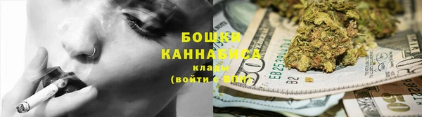 индика Осташков