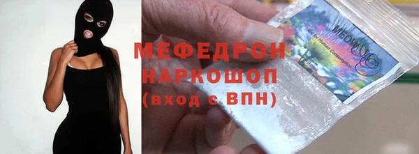 индика Осташков