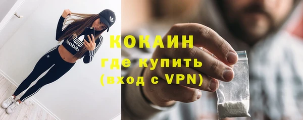 индика Осташков