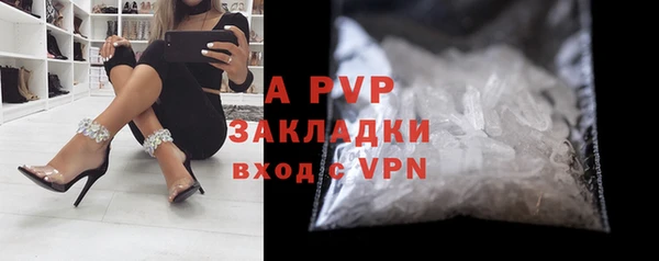 индика Осташков