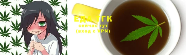 индика Осташков