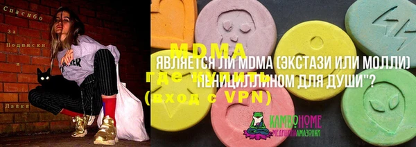 индика Осташков