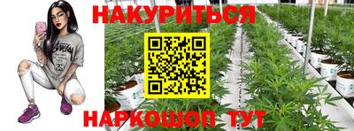 прущие грибы Абакан