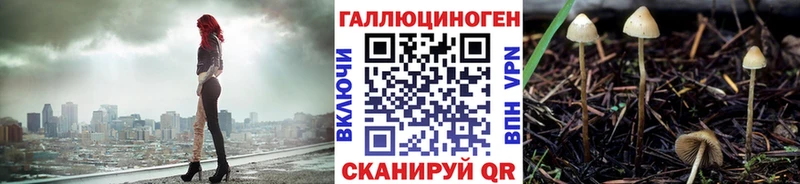где купить   Мегион  Галлюциногенные грибы MAGIC MUSHROOMS 