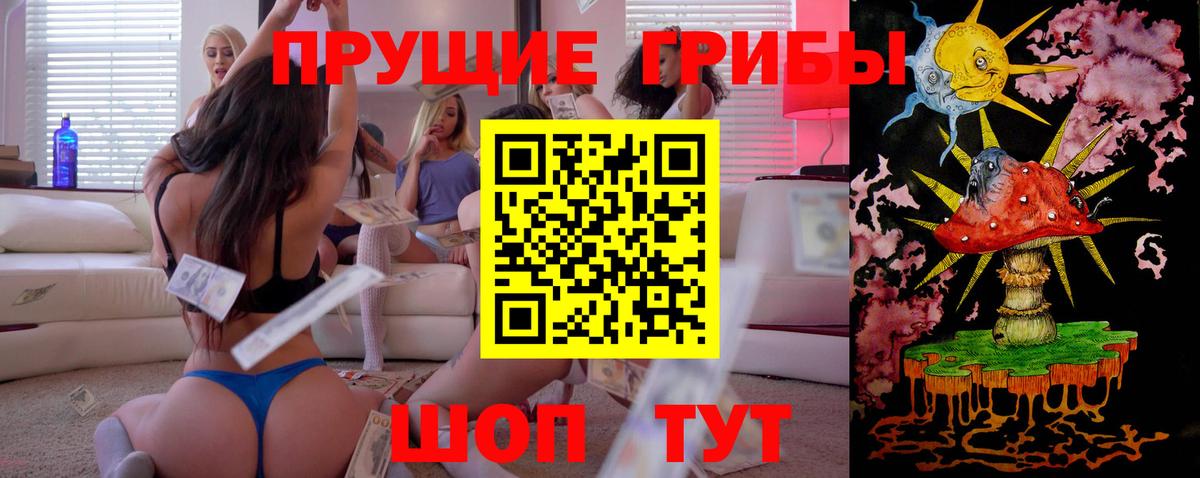 Псилоцибиновые грибы Psilocybe Мегион
